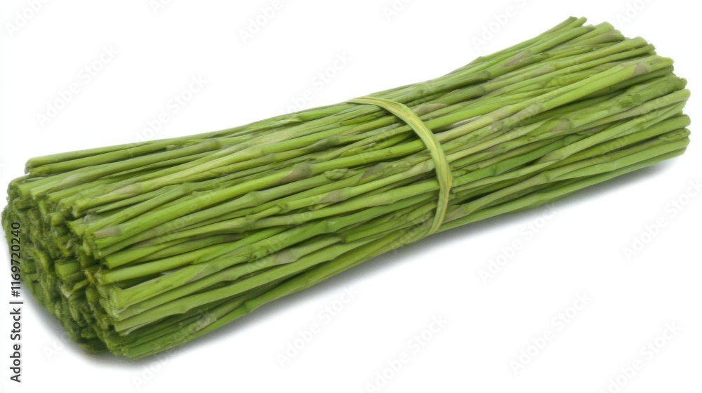 Bundle of fresh green stems tied with rubber band on white background. Bundle of fresh green stems tied with rubber band on white background.
