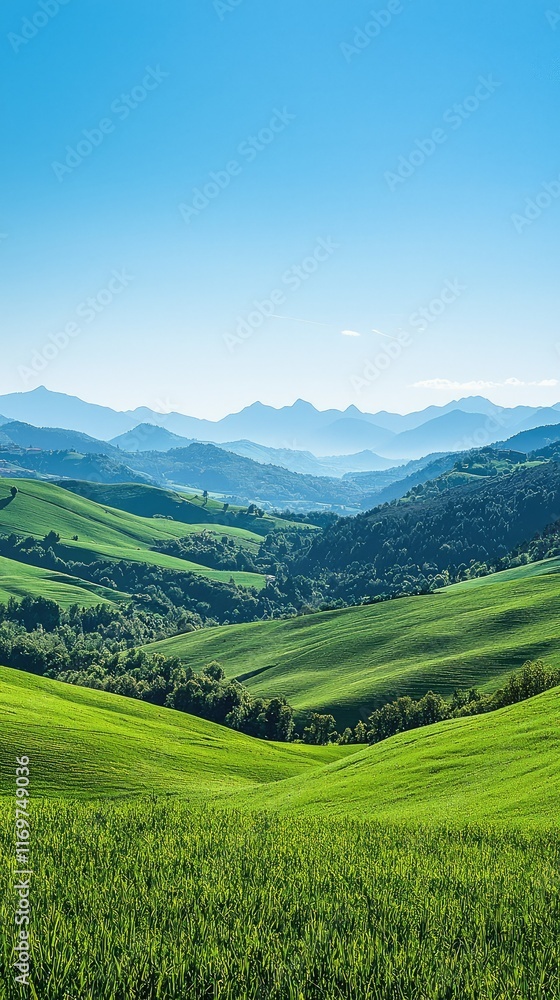 Fototapeta premium Lush Green Rolling Hills Under Clear Blue Sky with Mountain Range