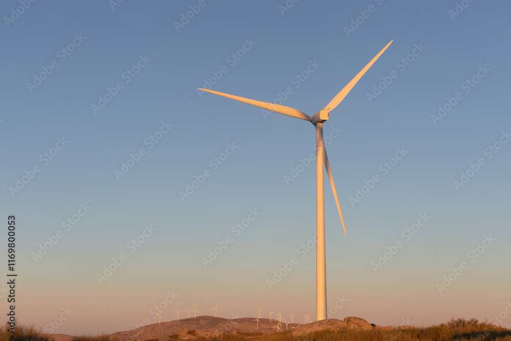 Obraz premium Windmills on a hillside at sunset