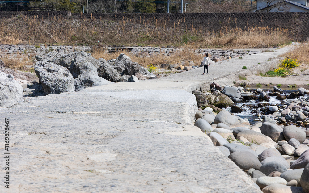 Fototapeta premium 犬石・犬走りの景にある沈下橋を歩く