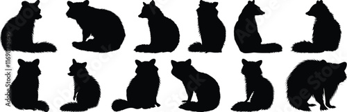 Wallpaper Mural Raccoon silhouette set vector design big pack of animal illustration and icon Torontodigital.ca