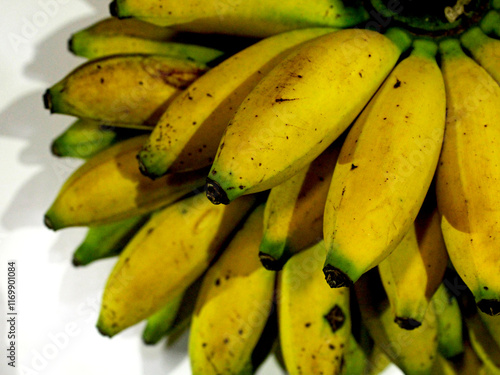 Muli bananas (Musa acuminata) are classified as dessert bananas, which means they are more often consumed directly as fresh fruit rather than processed into food. photo