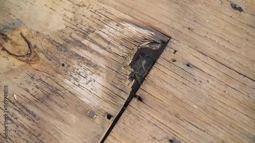 Detailed view of rotted plywood showing water damage and decay on roof deck.