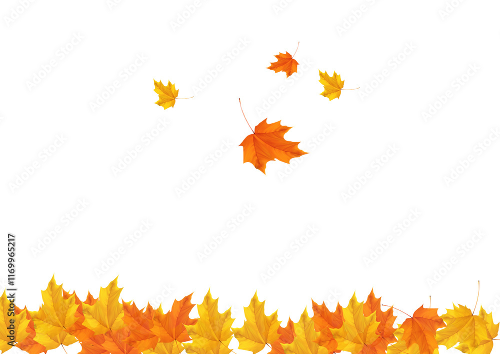 Fototapeta premium Leaves for Design