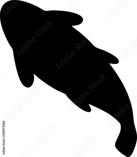 hand drawn top view of fish illustration.