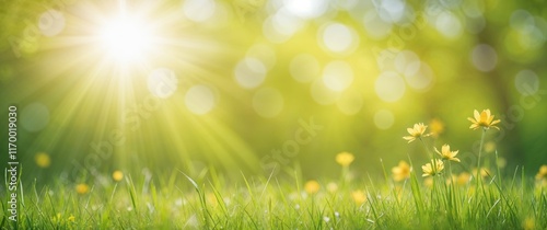 Fototapeta Naklejka Na Ścianę i Meble -  Art abstract sunny spring, summer background with fresh air weather green grass and flowers