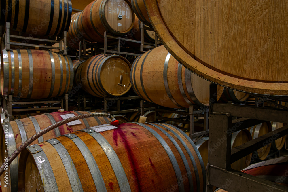 Generated ImageExplore the charm of a wine cellar at a vineyard. Discover aging barrels, rich aromas, and fine wines crafted with care. A serene space where tradition meets taste in every sip, perfect Generated ImageExplore the charm of a wine cellar at a vineyard. Discover aging barrels, rich aromas, and fine wines crafted with care. A serene space where tradition meets taste in every sip, perfect