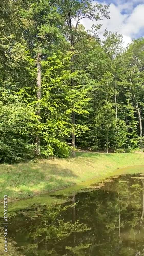 panorama krajobrazu przyrody nad brzegiem jeziora w słoneczny dzień panorama krajobrazu przyrody nad brzegiem jeziora w słoneczny dzień