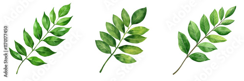 Aromatic curry leaves in various shades of green, showcasing their vibrant beauty and texture