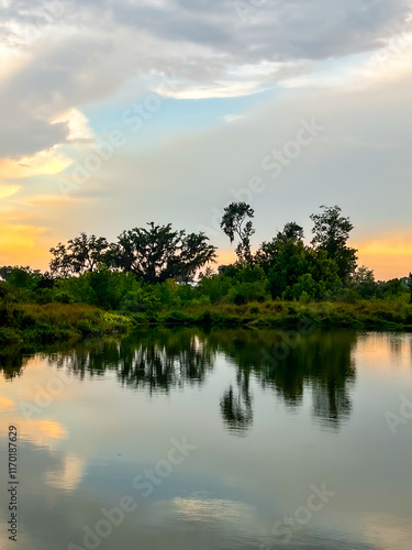 Serene Sunset Reflections Over Wetland Water