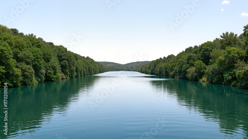 lake in the forest