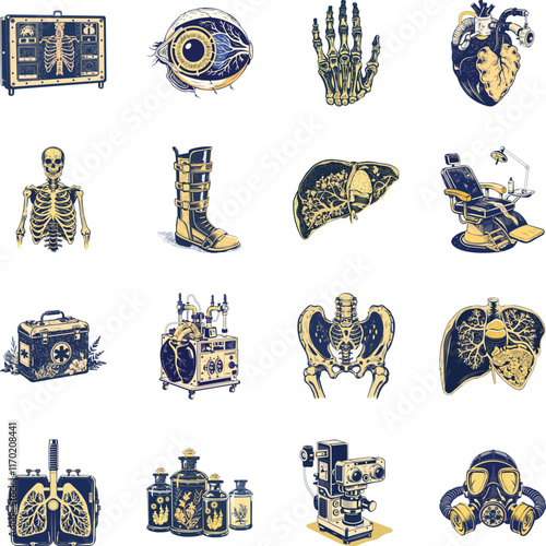 Set of Anatomy Vintage Style Illustrations 

