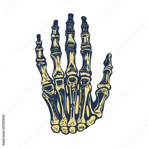 A vintage illustration of hand bones