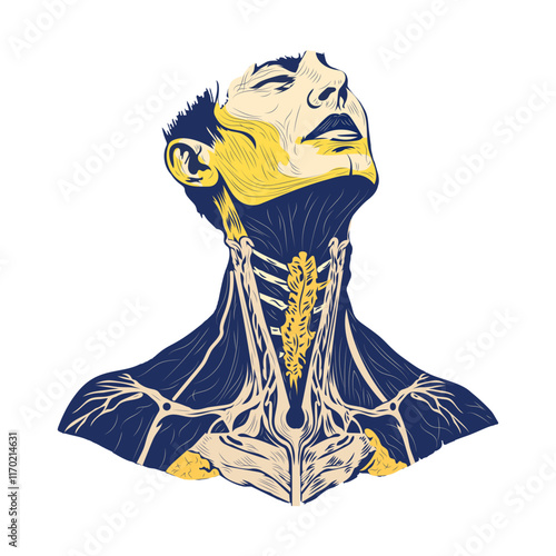 Human neck tendon illustration in vintage style