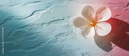 Serene Bloom: A Delicate Flower on Textured Background