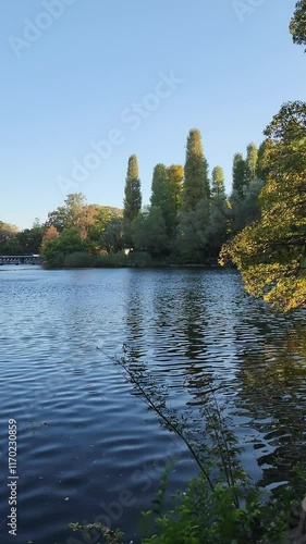Inokashira pond in early autumn in Tokyo, Japan