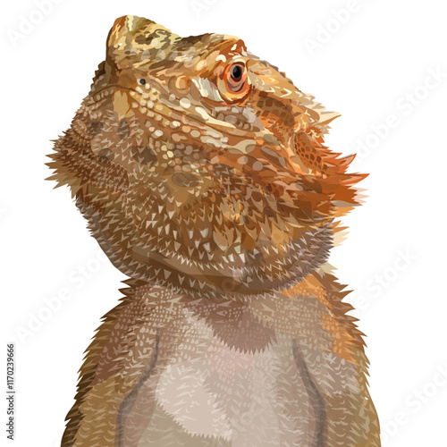 close up of iguana