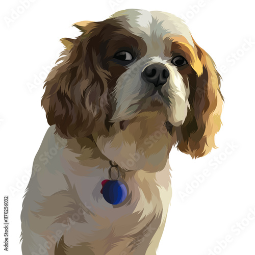 cavalier king charles spaniel