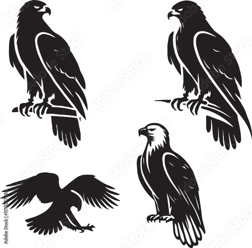 silhouette set of red tailed hawk sitting poses, wildlife design vector, red-tailed hawk majestic pose