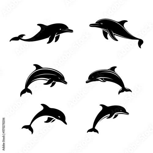 set of dolphins vector.