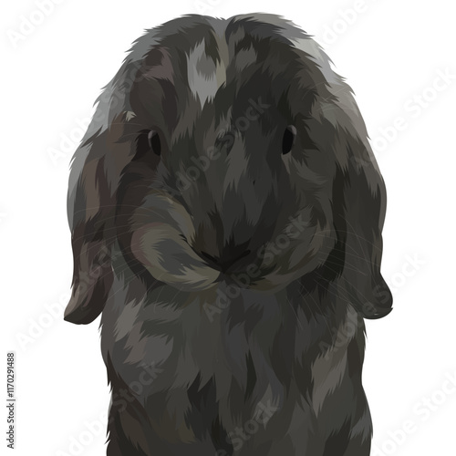 close up portrait of a black and white dog