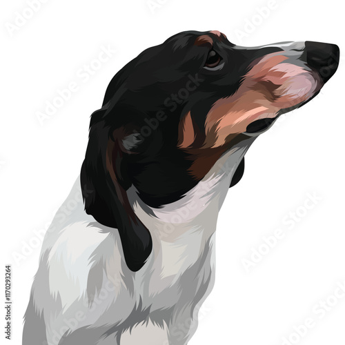 great dane looking up