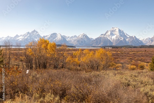 Grand Teton National Park, autumn foliage, snowy peaks. Beautiful fall colors contrast with snow-capped mountains. Grand Teton National Park, Moran, Wyoming, USA. photo