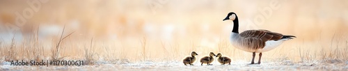 A goose protecting her goslings from an approaching predator.