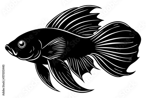 Betta fish vector silhouette on white background