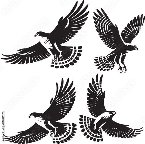silhouette set of cooper's hawk flying poses,Cooper's hawk soaring, bird in flight silhouette