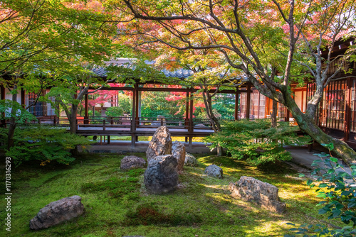 Autumn garden at Kenninji temple with colorful fall leaves, Kyoto