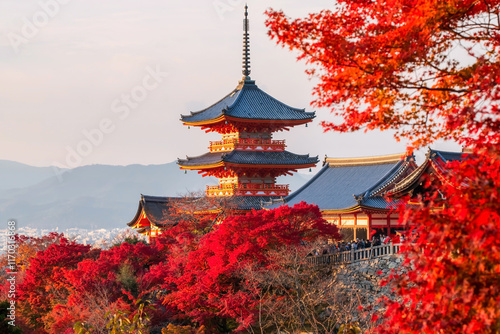 Kiyomizudera temple with red maple autumn foliage at sunset, Kyoto