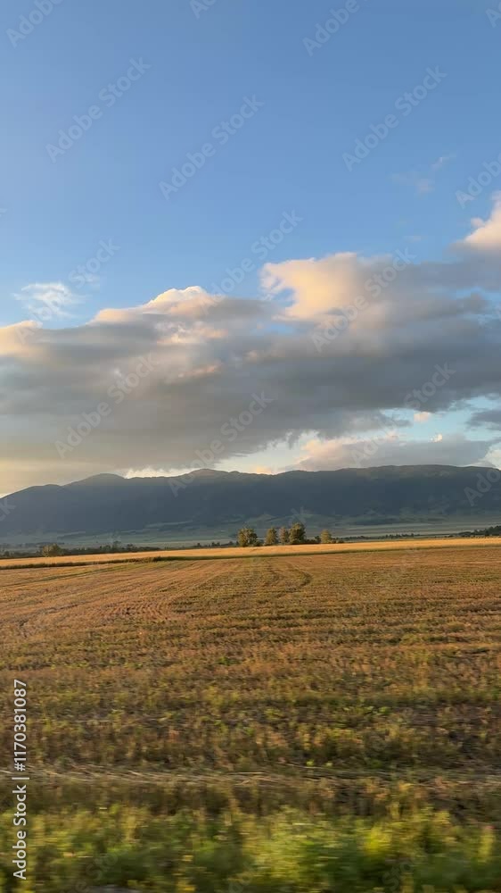 View from the moving car window of golden farmland in the evening. In the distance, mountains are visible, creating the atmosphere of agriculture in mountainous terrain. View from the moving car window of golden farmland in the evening. In the distance, mountains are visible, creating the atmosphere of agriculture in mountainous terrain.