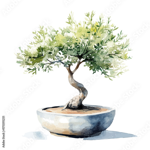 A watercolor vector painting of a Tamarix Bonsai tree, isolated on a white background. Tamarix Bonsai tree vector.

