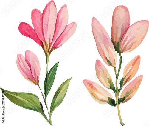 bouquet of pink tulips