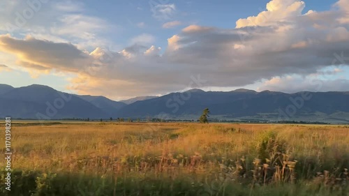 side view from the car window while driving through the mountain meadows against the background of sunset in the golden hour
