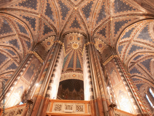 Obraz na płótnie Italia, Veneto, la città di Padova, interno della cattedrale w salonie