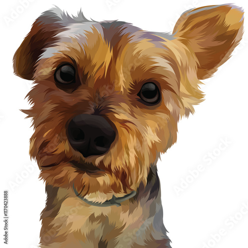 yorkshire terrier puppy