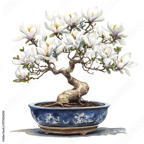 A watercolor vector painting of a Star Magnolia Bonsai tree, isolated on a white background. Star Magnolia Bonsai tree vector.

