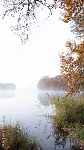 fog on the river