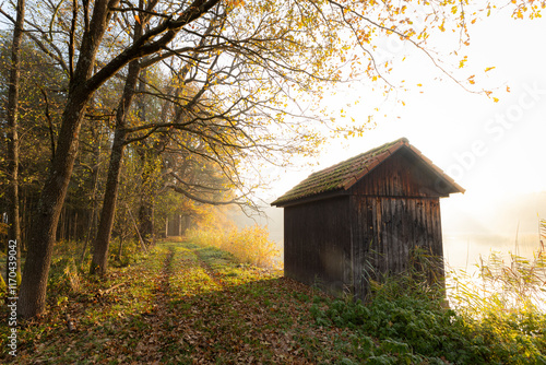 cabin in fog
