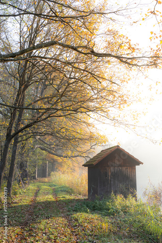 house in the autumn