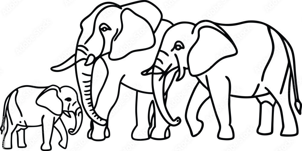 Fototapeta premium Elephant hand drawn illustrations