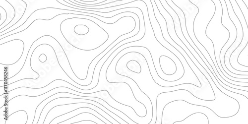 Background of topographic line contour map,Vintage outdoors style. World map Template,Luxury black abstract line art,web, geographic grid map vector illustration.vector geographic contour mounted map,