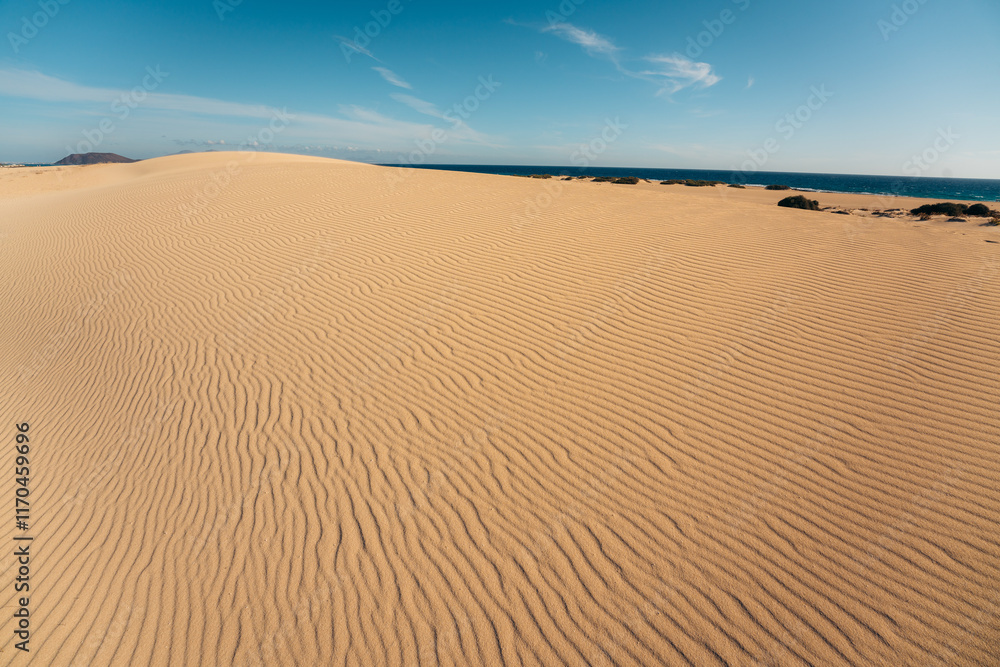 Desert dunes by the Ocean