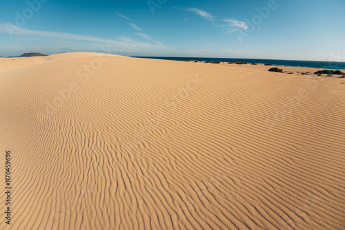 Desert dunes by the Ocean