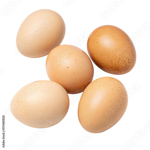 eggs