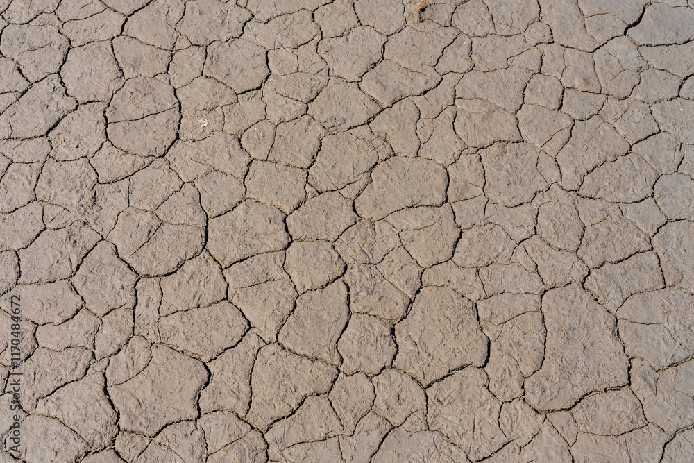 Dry cracked mud texture forming abstract patterns in drought conditions Dry cracked mud texture forming abstract patterns in drought conditions