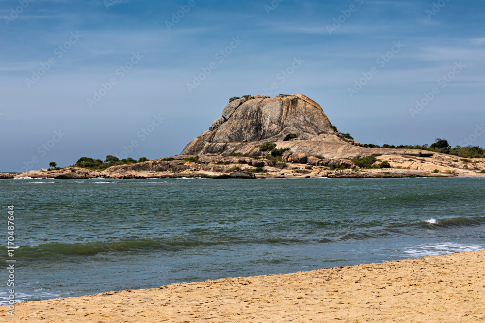 The wilderness of the Yala National Park in Sri Lanka The wilderness of the Yala National Park in Sri Lanka