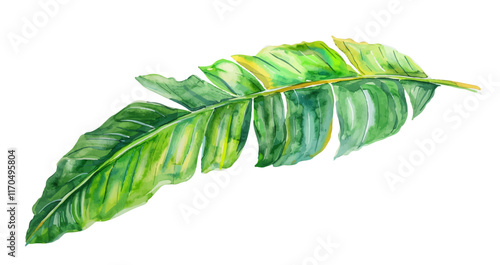 Vector watercolor palm leaves, summer poster, summer travel, palm day, tropical leaves, banana leaves, plantain leaves